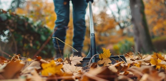 Så förbereder du hus och trädgård inför vintern – oktober 2024 1