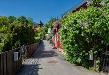 Trädgård i juni – 7 smarta tips för grönsaksland, perenner och pollinerare trädgård i juni