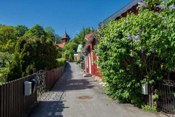 trädgård i juni