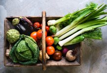 Huslivet i september – skörd, plantering och tips för trädgården