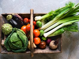 Huslivet i september – skörd, plantering och tips för trädgården