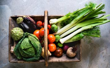 Huslivet i september – skörd, plantering och tips för trädgården