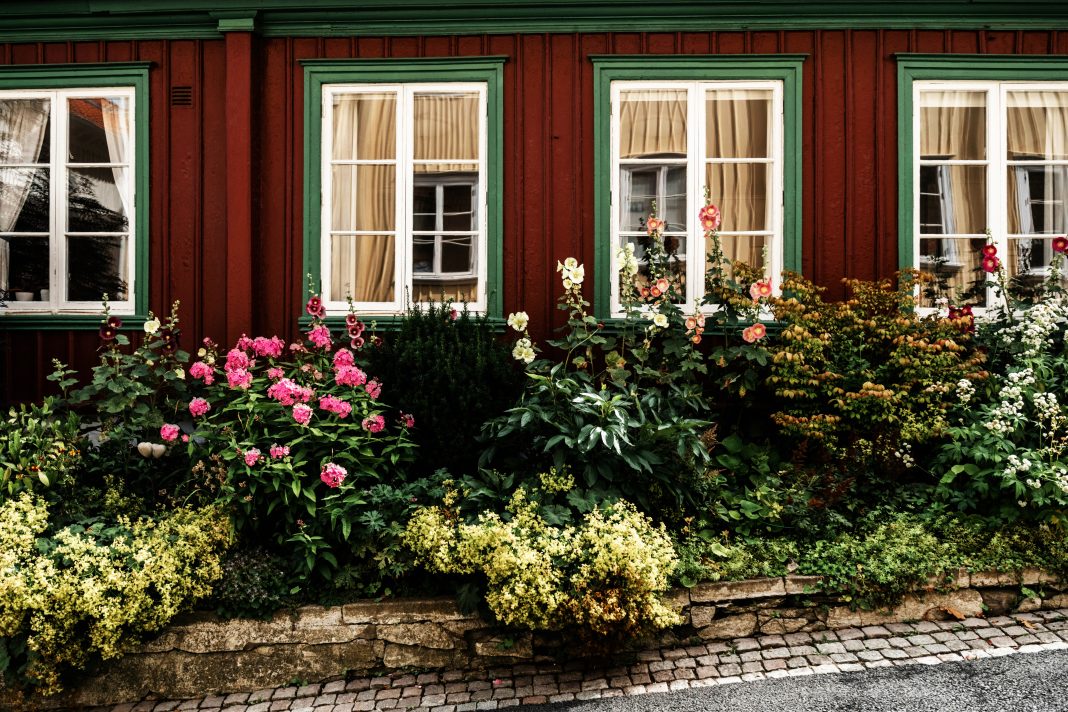 renovera gamla fönster