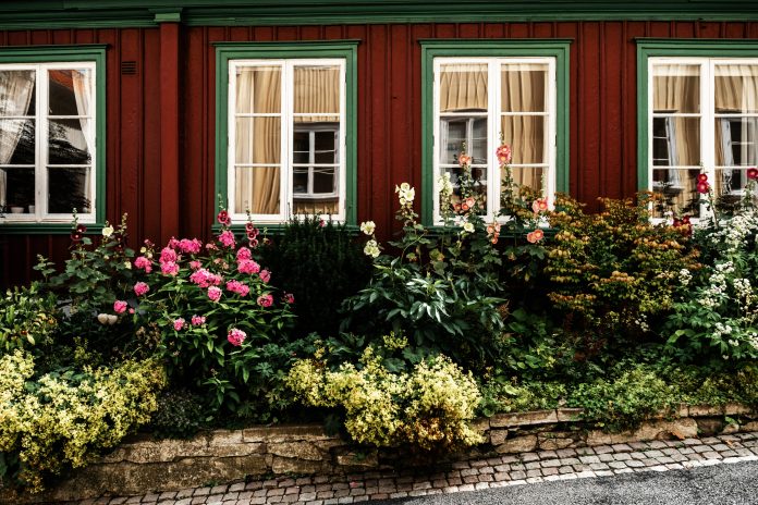out-your-window-svun0eZWq1k-unsplash_red renovera gamla fönster