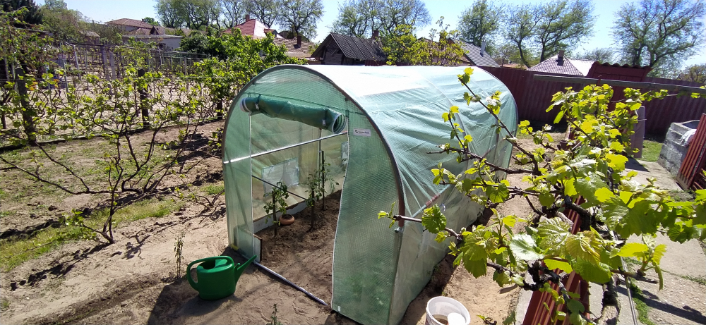 Växthus: din egen lilla oas året runt gardenway