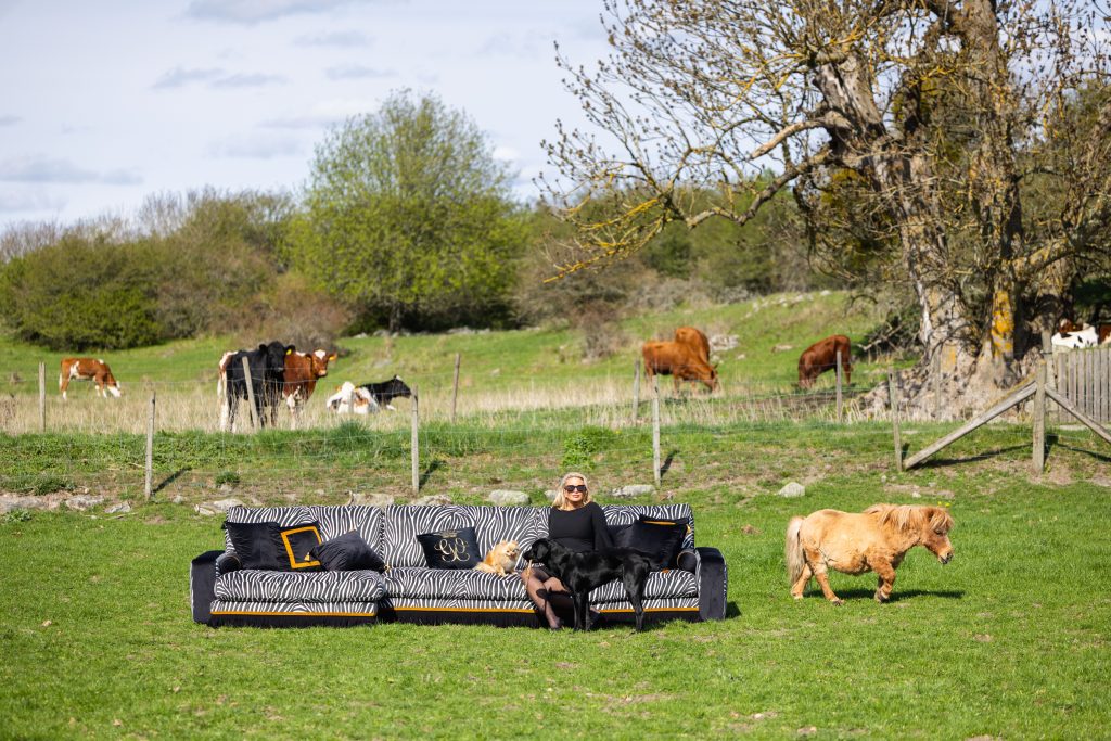 “soffan alla pratar om” – carolina gynnings limited edition, exklusivt hos chilli 1 1