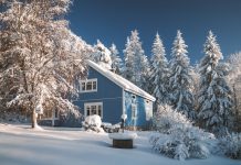 Huslivet i februari – detta ska du göra i hus och trädgård