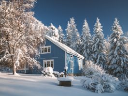 Huslivet i februari – detta ska du göra i hus och trädgård